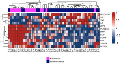 A 4-Gene Signature Associated With Recurrence in Low- and Intermediate-Risk Endometrial Cancer